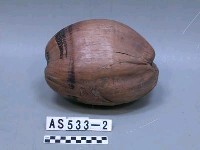 藏品(乾椰子)的圖片